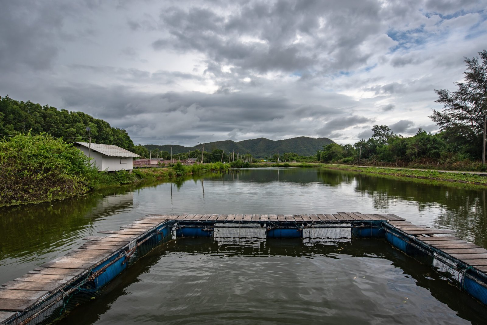 Wooden dock extending into a calm water body surrounded by greenery and hills under a cloudy sky.