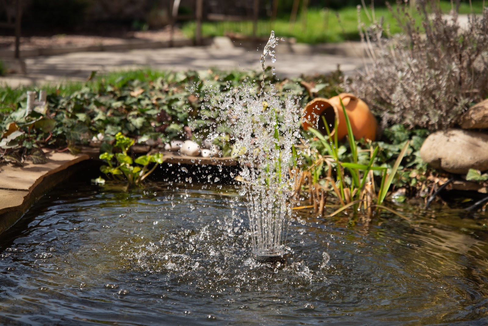 Water fountain creating splashes in a garden pond surrounded by greenery and stones.