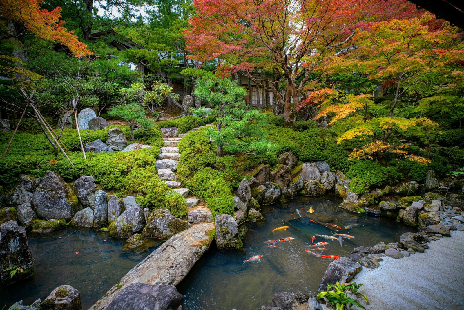 A serene Japanese garden featuring a koi pond surrounded by rocks and autumn foliage.