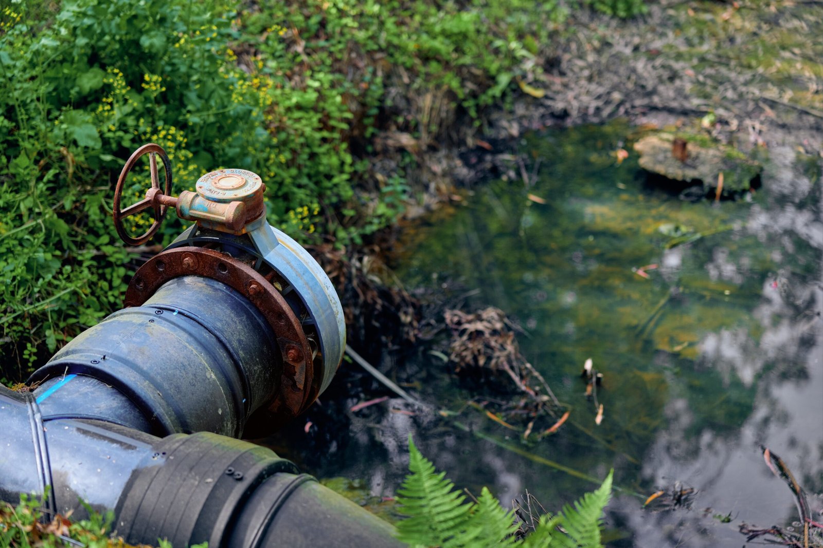 A blue water pipe with a valve positioned near a body of water surrounded by greenery.