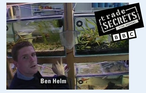 Ben Helm appearing on BBC TV's Trade Secrets with fish tanks in the background.