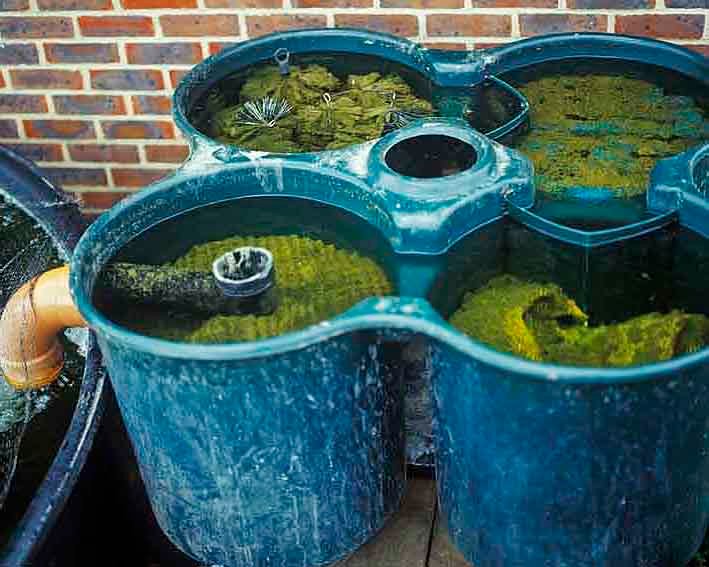 Water garden filter system with multiple compartments filled with aquatic plants and filtration materials.