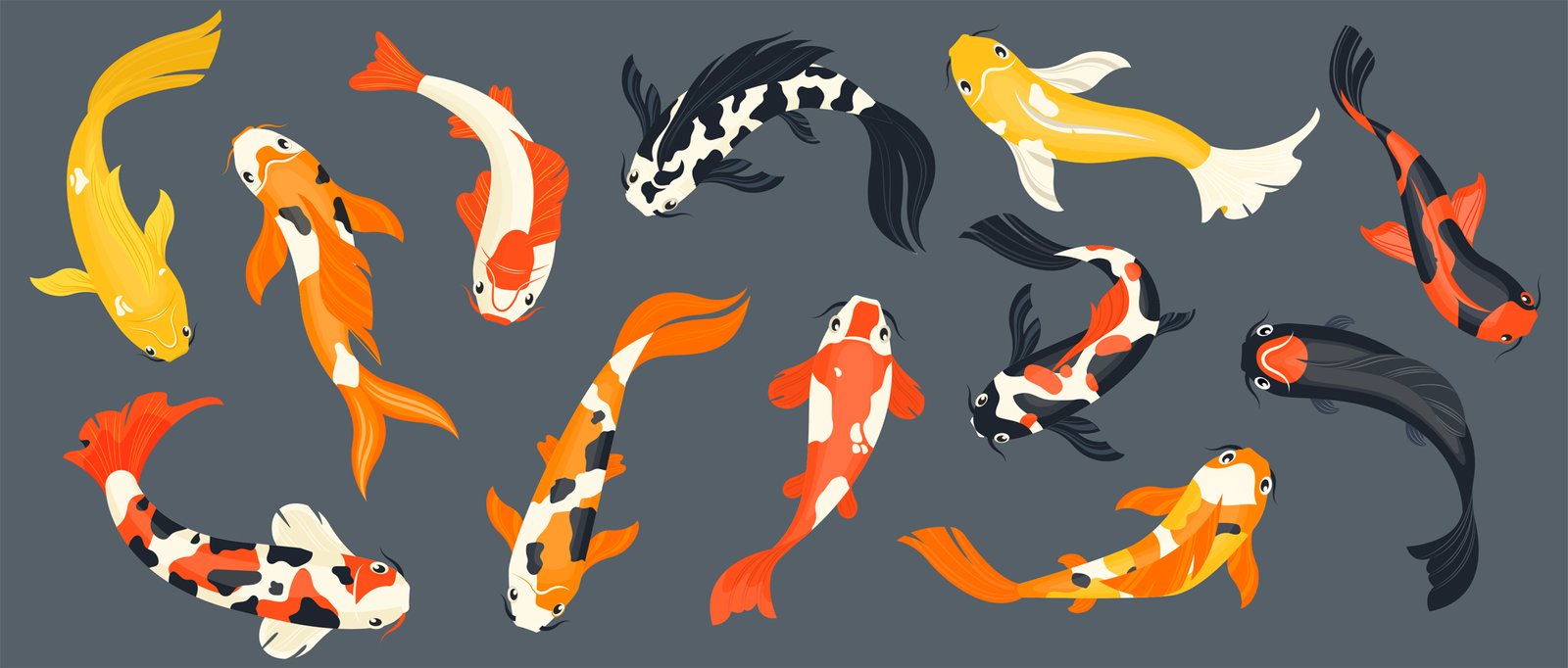 Various colorful koi fish in different patterns and colors, including orange, black, and white, swimming in a stylized design.