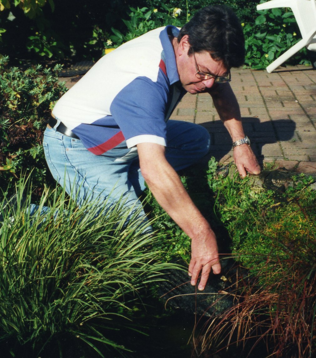 Man in a blue and white shirt removing a pump from a water garden surrounded by plants and greenery.