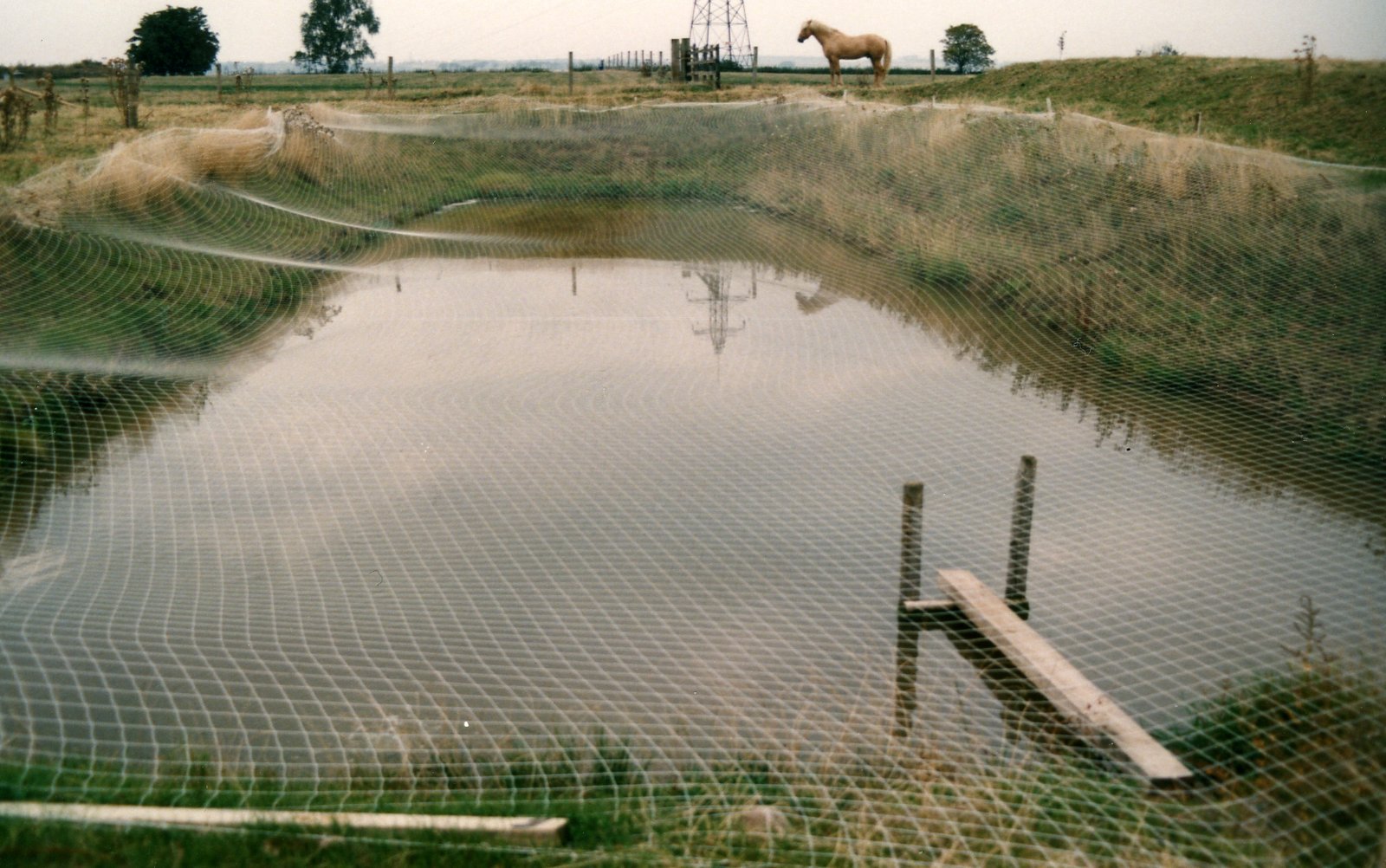 A nursery pond covered with protective netting, surrounded by grass and a distant horse in the background.