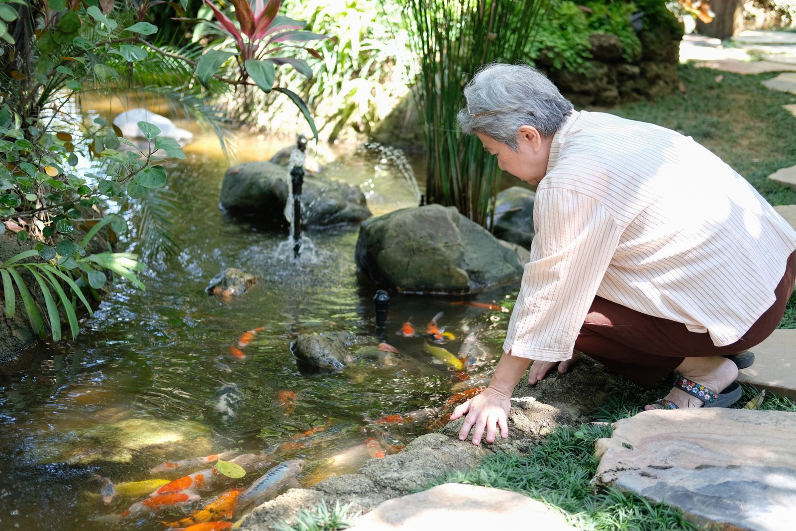 Individual leaning over a garden pond to observe koi fish swimming in clear water among rocks and plants.