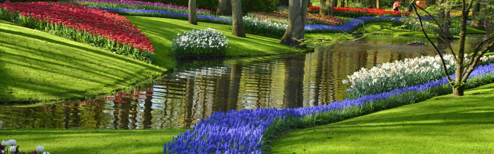 Vibrant flower garden with red, white, and blue blooms alongside a winding water feature.