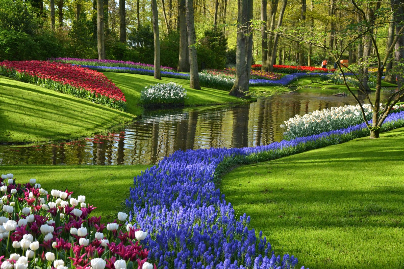 Vibrant flower garden with red, white, and blue blooms alongside a winding water feature.