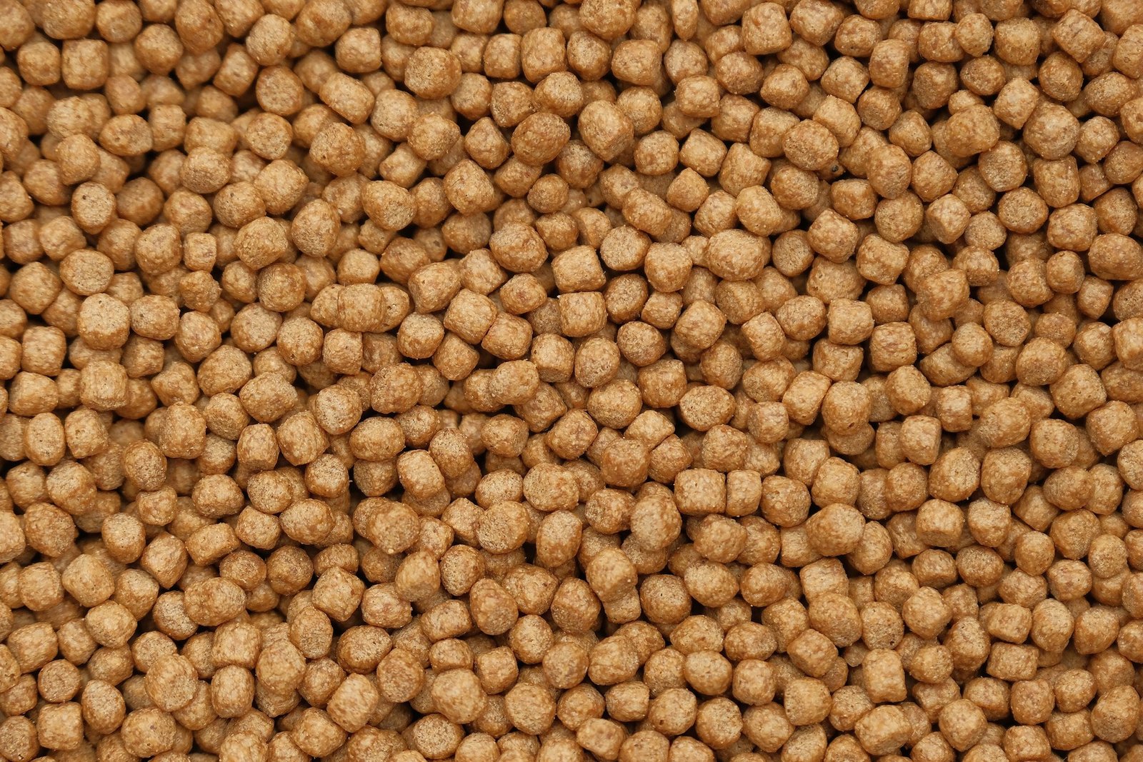 Close-up of small brown fish food pellets arranged in a uniform pattern on a surface.