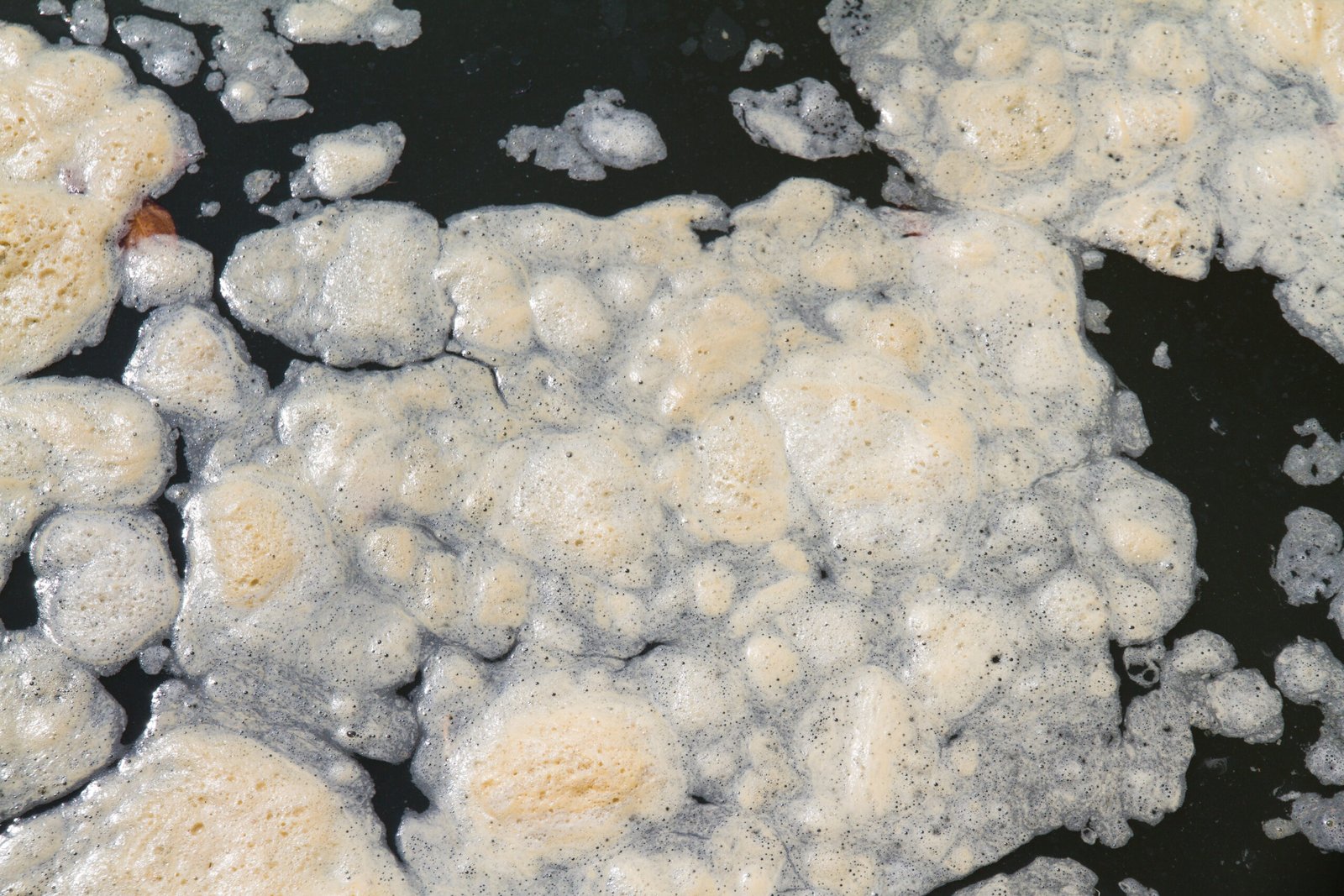 Close-up view of foam bubbles on the surface of water, creating a textured appearance.