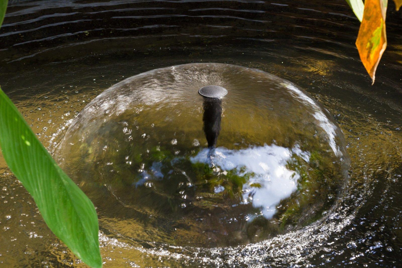 A water fountain creating a dome of water in a garden pond with ripples and bubbles visible.